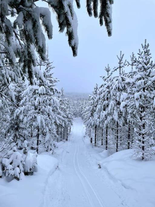 Cozy Mountain View Apartment Orrviken Екстериор снимка