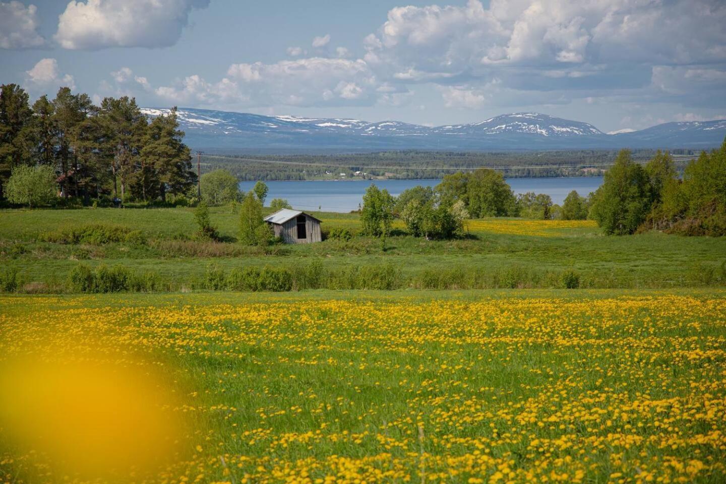 Cozy Mountain View Apartment Orrviken Екстериор снимка